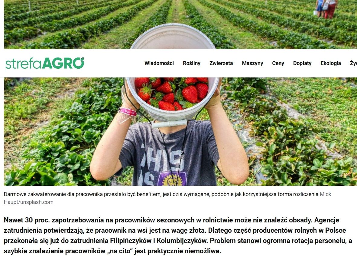 braki-pracownikow-moga-siegac-