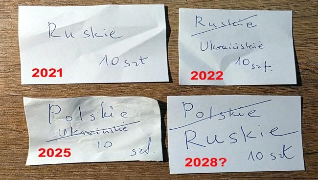 pierogi-polskie-i-ruskie-drony