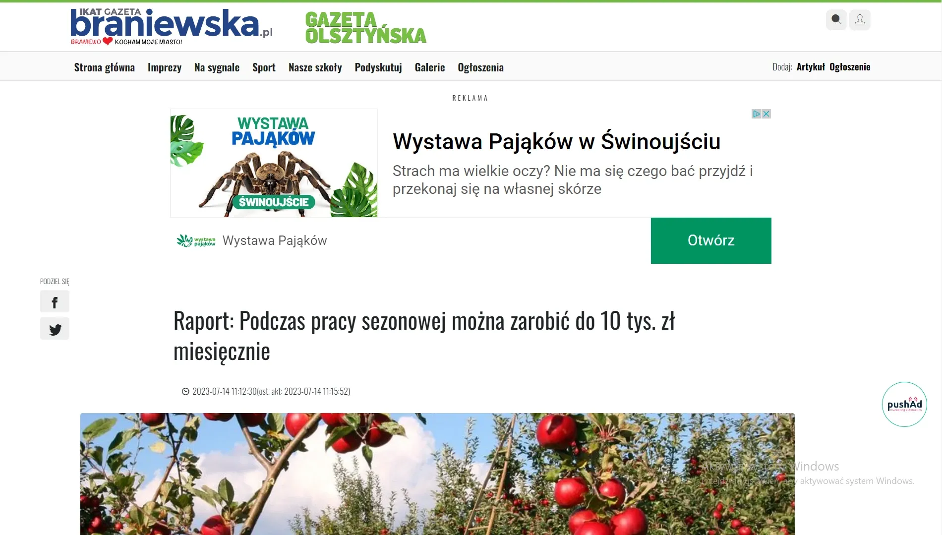 raport-podczas-pracy-sezonowej