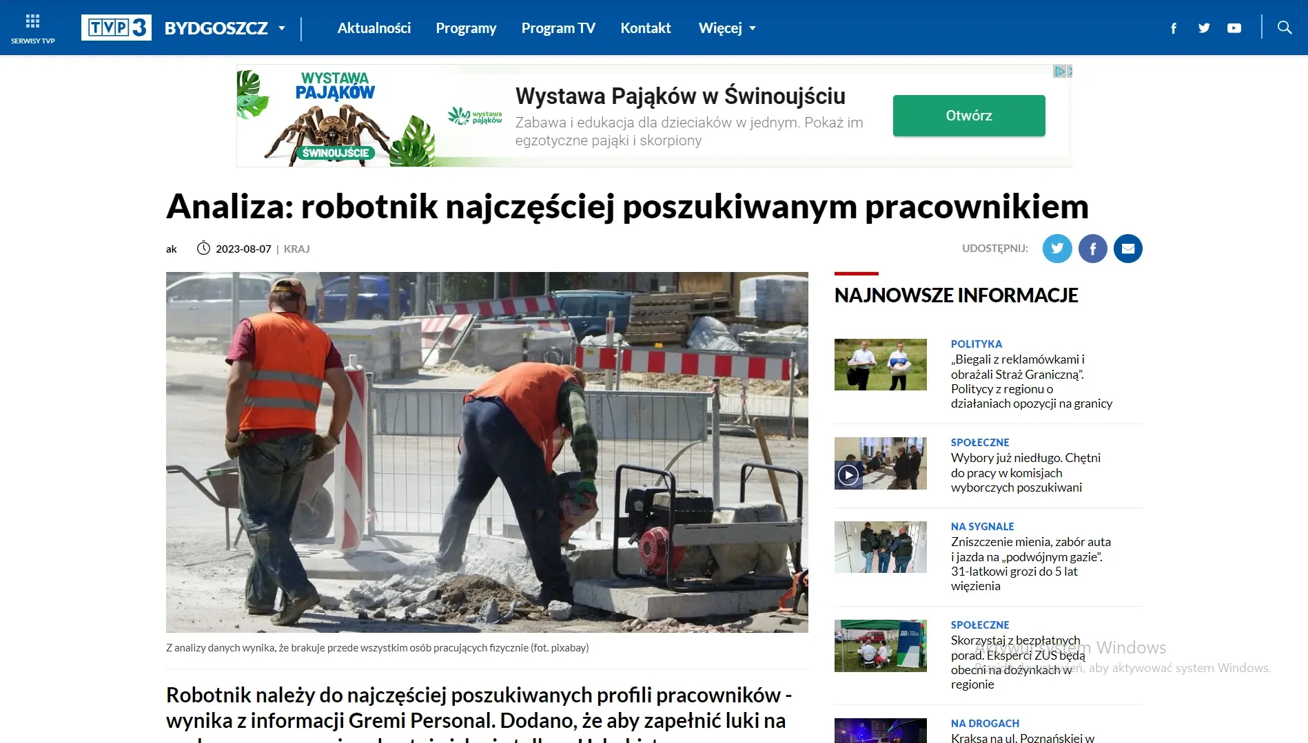 analiza-robotnik-najczesciej-p