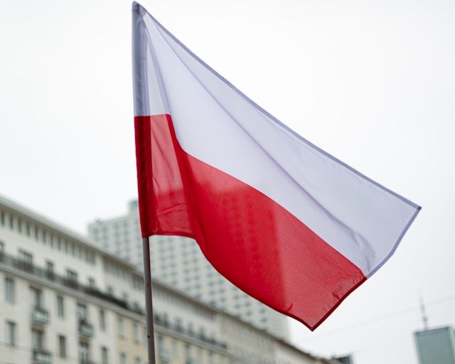 pracevlashtuvannja-ukrainciv-u-polshhi-jakij-vidsotok-maie-stabilni-umovi-praci