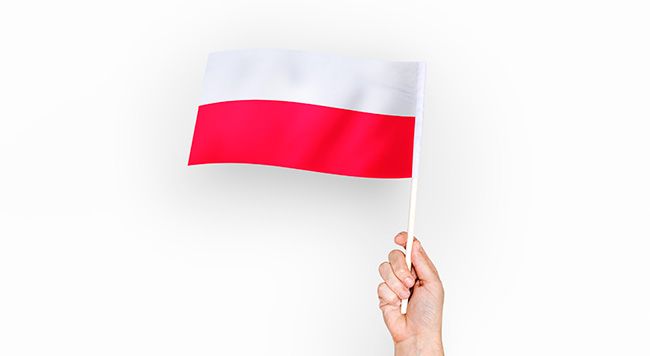 skilki-chasu-potribno-ukraincjam-u-polshhi-shhob-vivchiti-movu-opituvannja