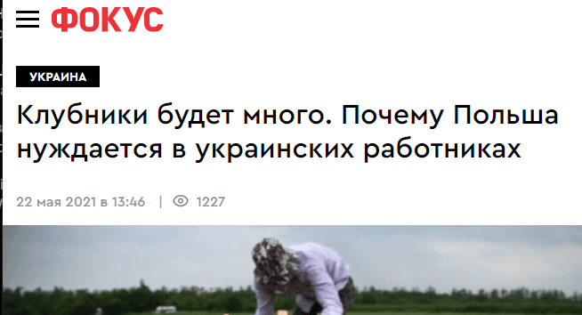 klubniki-budet-mnogo-pochemu-polsha-nuzhdaetsja-v-ukrainskih-rabotnikah-2
