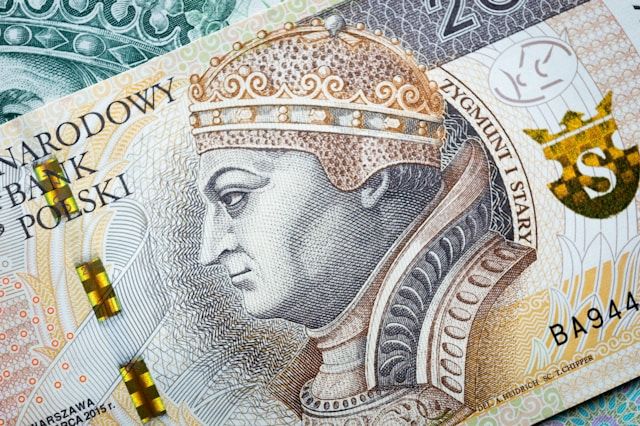 ministerstvo-finansiv-polshhi-ukrainci-zaplatili-majzhe-1-65-mlrd-zlotih-podatkiv-u-2024-roci
