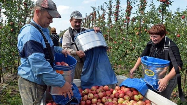 kyiv-post-ukrainski-pracivniki-pochinajut-povertatisja-do-polshhi-cherez-pom-jakshennja-karantinnih-zahodiv